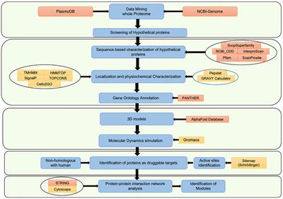 In-Silico Functional Annotation of Plasmodium falciparum Hypothetical Proteins to Identify Novel Drug Targets